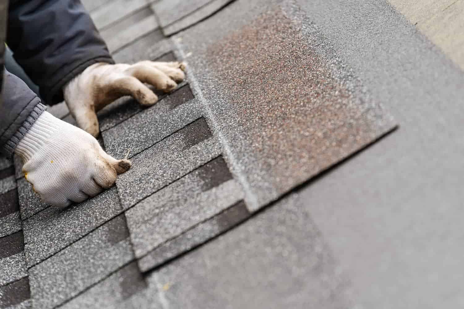 How Roof Repair Services Can Save You Money